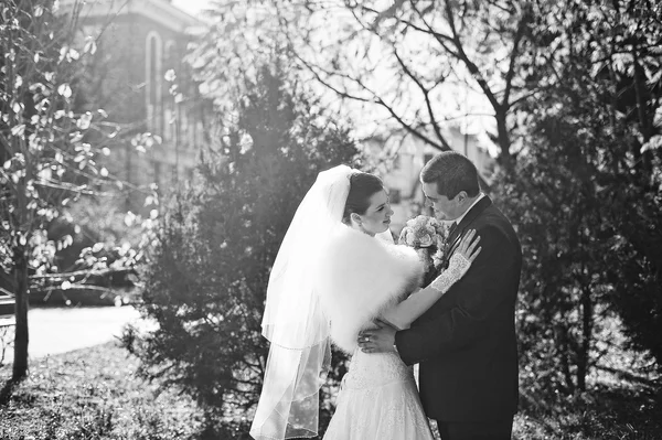 Magnifique couple marié embrasser, noir et blanc — Photo