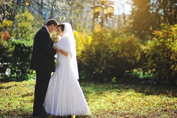 Πανέμορφο παντρεμένο ζευγάρι αγκαλιά φόντο φθινόπωρο βούρτσες — Φωτογραφία Αρχείου