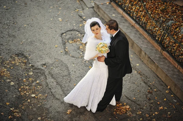 Casal de casamento em folhas de outono, vista de alta — Fotografia de Stock