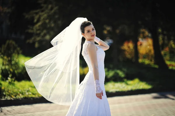 Брюнетка милая невеста с вуалью — стоковое фото