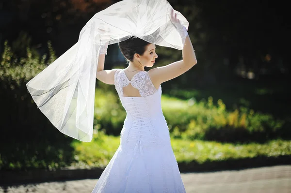 Brunette comely bride with veil — Stock Photo, Image
