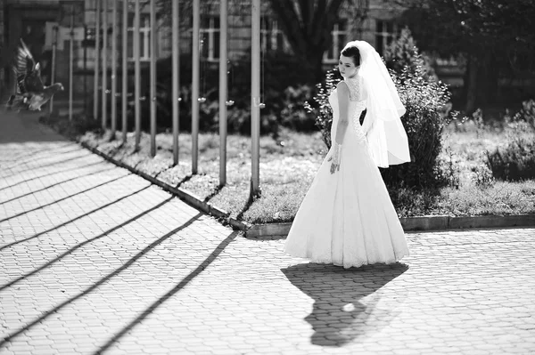 Brunette comely bride at shadows geometry — Stock Photo, Image