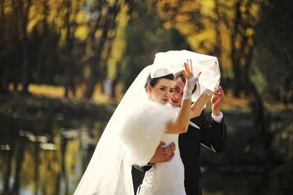 Gracioso recém-casados fundo lago no outono — Fotografia de Stock