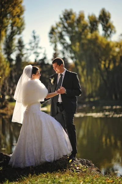 Gracioso recém-casados fundo lago no outono — Fotografia de Stock