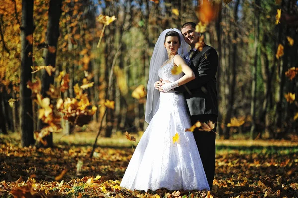 Wedding couple holding each other with falling autumn leaves — Stock Photo, Image