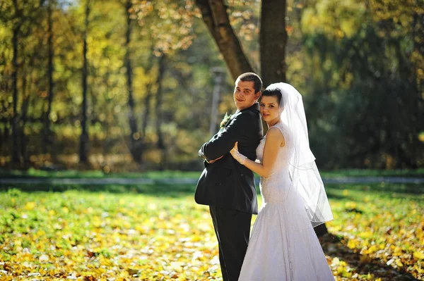 Glorieuze pasgetrouwden op herfst zon — Stockfoto