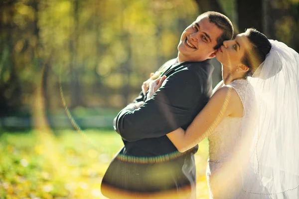 Glorious newlyweds at autumn sunshine — Stock Photo, Image