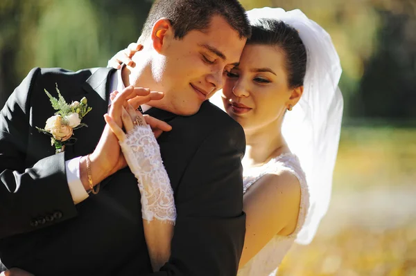 Glowing wedding couple embrace close up — Stock Photo, Image