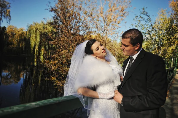 Hermosa pareja recién casada en el fondo de otoño — Foto de Stock