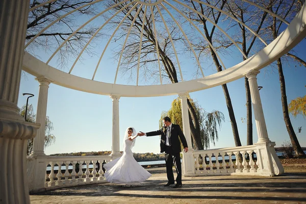 Ihana juuri aviopari valkoisen kaaren alla auringonpaisteessa — kuvapankkivalokuva