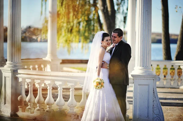 Encantadora pareja recién casada bajo arco blanco en el sol — Foto de Stock