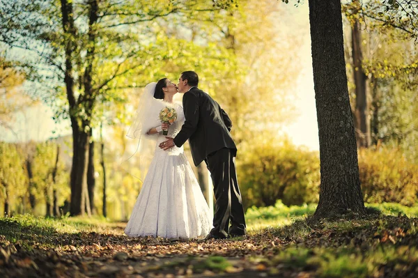 Lindo apenas casado casal no outono fundo — Fotografia de Stock