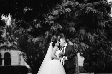 Düğün çifti birlikte aşık