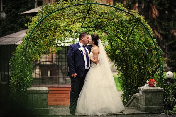 Casamento casal fundo verde arco de planta — Fotografia de Stock