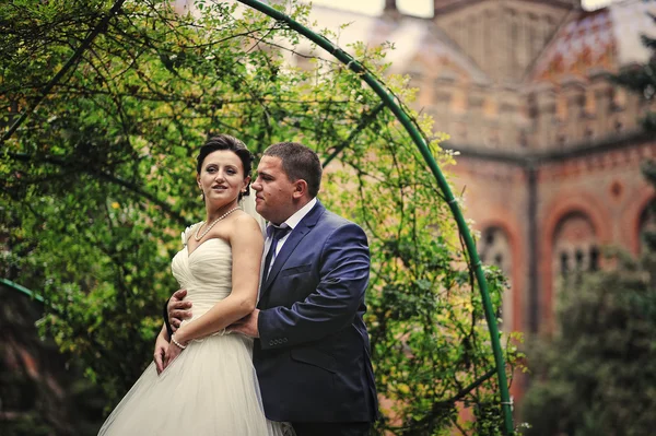 Wedding couple background green arch of plant — Stock Photo, Image