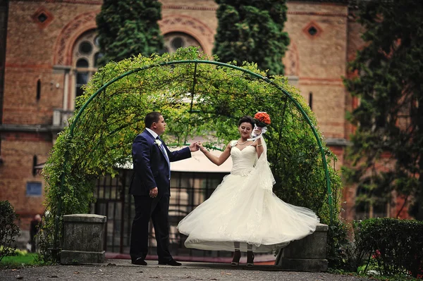 Wedding couple background green arch of plant — Stock Photo, Image