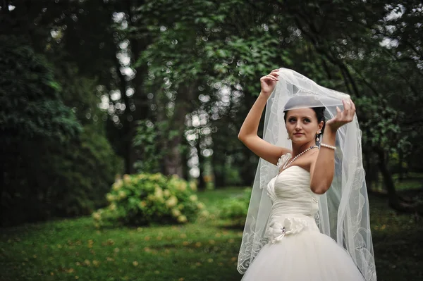 Young romantic  brunette bride — Stock Photo, Image