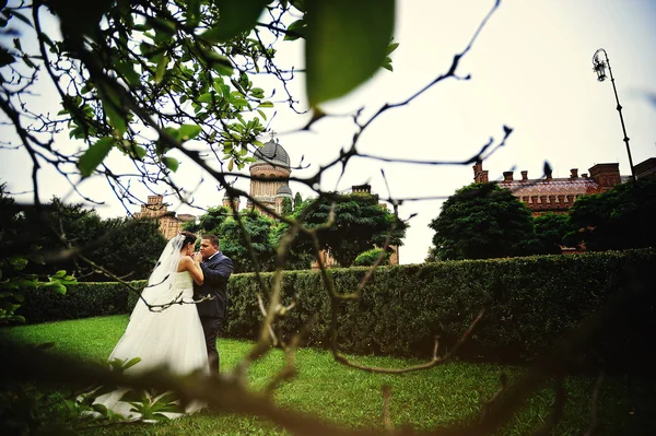 Recém-casados fundo verde gramado e arquitetura antiga casa — Fotografia de Stock