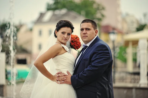 Solo pareja casada fondo fuente —  Fotos de Stock