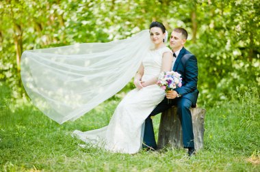 Düzülmüş evlilik çift yeşil güneşli ormanda