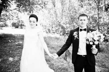 Düzülmüş evlilik çift yeşil güneşli ormanda