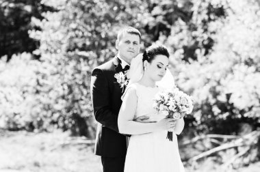 Düzülmüş evlilik çift yeşil güneşli ormanda