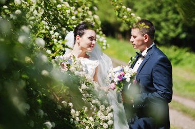 Düzülmüş evlilik çift yeşil güneşli ormanda