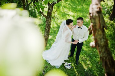 Düzülmüş evlilik çift yeşil güneşli ormanda