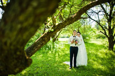 Düzülmüş evlilik çift yeşil güneşli ormanda