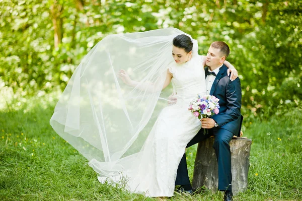 Gorgeus wedding couple on green sunny forest — Stock Photo, Image