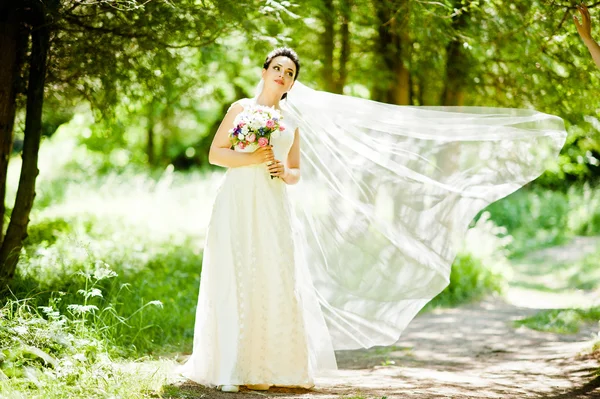 Gorgeus brunette bride outdoors — Stock Photo, Image