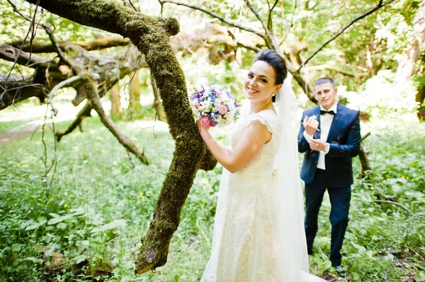 Gorgeus bröllopsparet på gröna soliga skog — Stockfoto