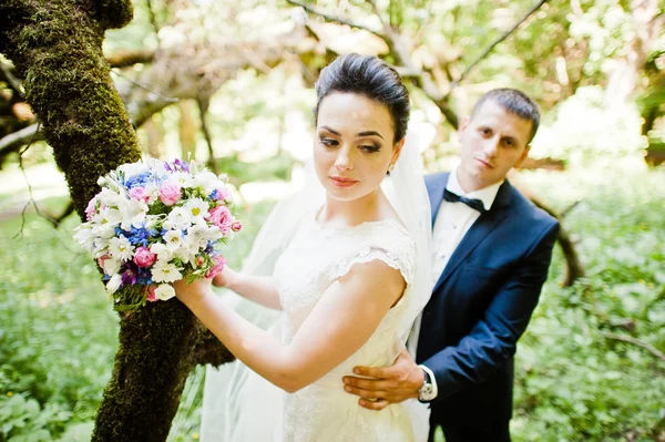 Prachtvolles Hochzeitspaar im grünen, sonnigen Wald — Stockfoto