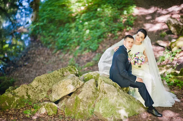 Couple de mariage Gorgeus sur forêt verte ensoleillée sur pierres — Photo