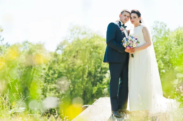 Gorgeus pareja de boda en verde bosque soleado —  Fotos de Stock