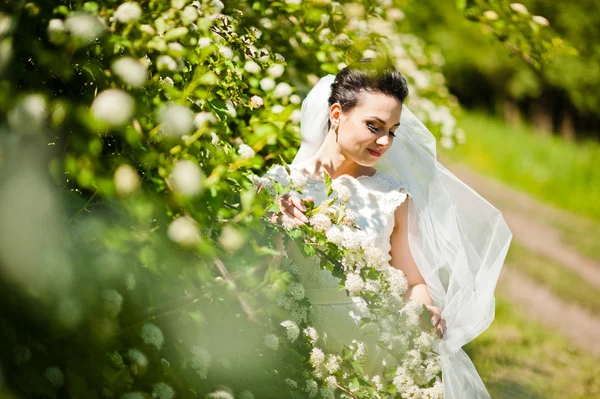 Gorgeus brunette mariée en plein air — Photo