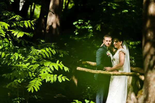 Gorgeus casamento casal na floresta ensolarada verde — Fotografia de Stock