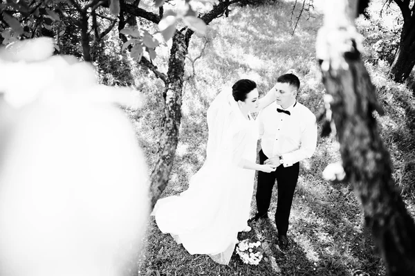 日当たりの良い森の豪華な結婚式のカップル — ストック写真