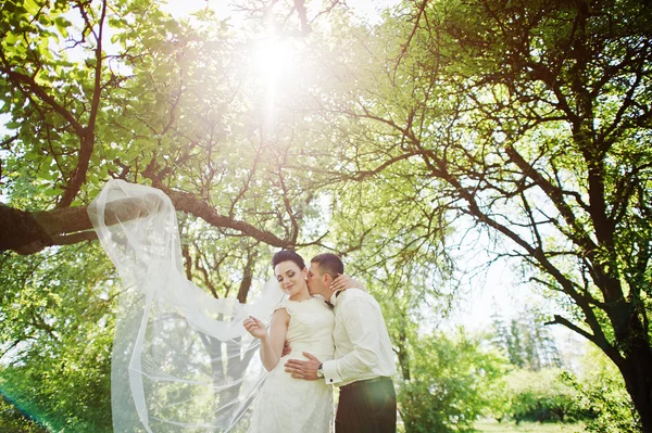 Gorgeus casamento casal na floresta ensolarada verde — Fotografia de Stock