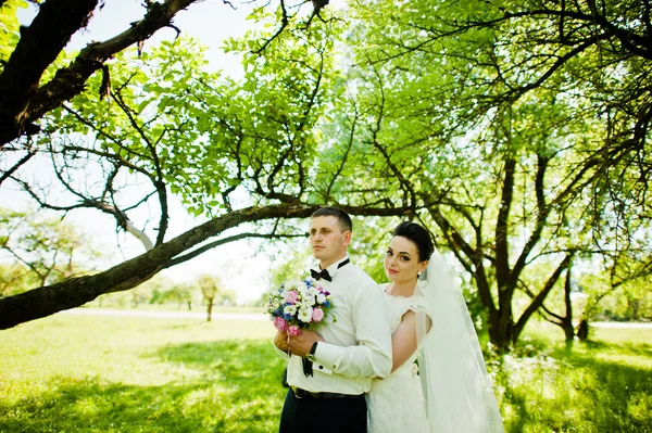 Gorgeus pareja de boda en verde bosque soleado — Foto de Stock