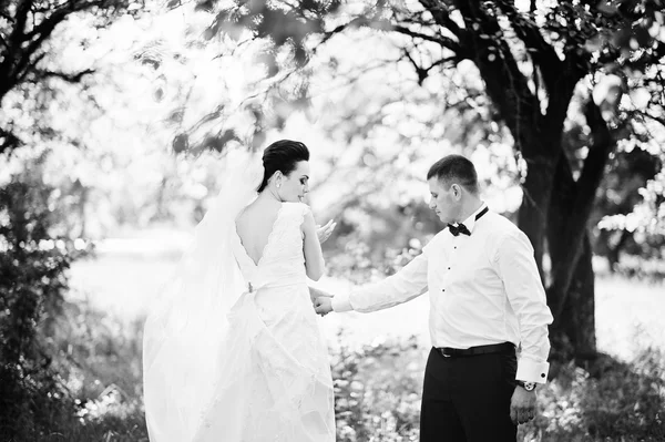 Gorgeus casamento casal na floresta ensolarada verde — Fotografia de Stock