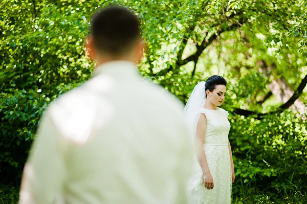 Gorgeus wedding couple on green sunny forest — Stock Photo, Image