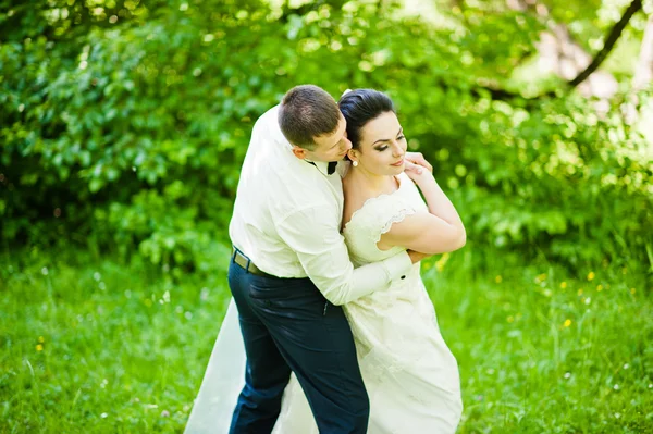 Gorgeus bröllopsparet på gröna soliga skog — Stockfoto