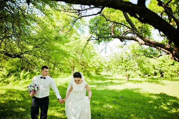Zöld erdei folyóvölgy magával ragadó esküvő házaspár — Stock Fotó