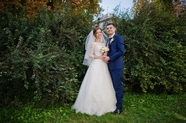 Düğün çift arka plan fırçalar