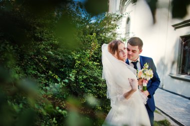 Düğün çift arka plan fırçalar