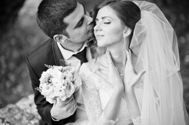 iki taş ve Gölü yakınında park Çifte düğün