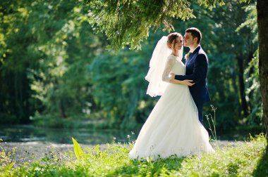 Sadece park aşık evli 