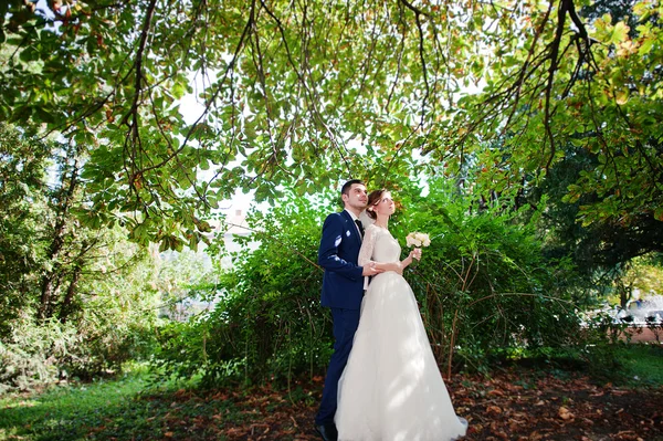 温柔的新婚夫妇在绿色公园 — 图库照片