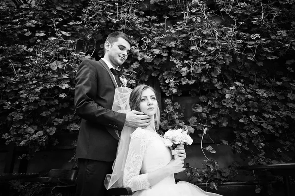 Hochzeitspaar Hintergrund grüne Bürste mit roten Rosen — Stockfoto